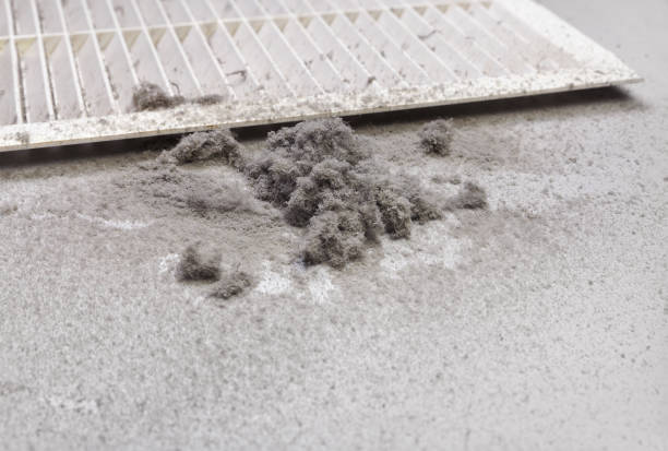 Best Air Duct Sanitizing Services  in Marine, IL
