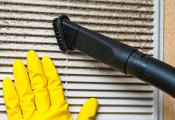 Best Affordable Duct Cleaning Services  in Marine, IL